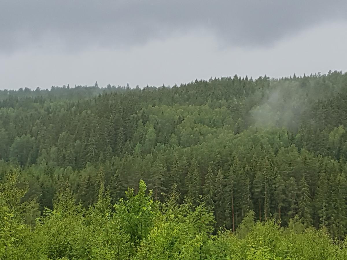 Tranas Vandrarhem Екстериор снимка